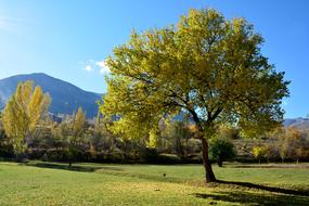 Beautiful and colorful field with the trees, with the shadows, in light, near the mountains, at blue sky with clouds on background, in the autumn