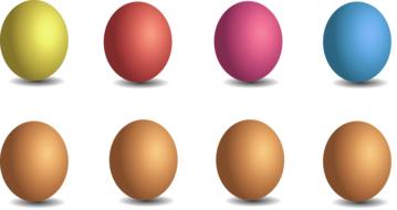 easter eggs on white background