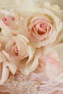 Pink Roses and Beads, Background