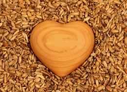 Heart Tree and Seeds