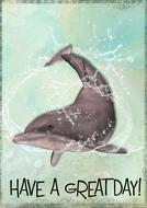 greeting card with dolphin