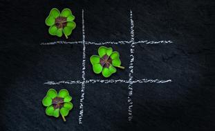 klee four leaf clover