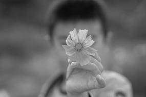 Black and white photo of the kid, showing beautiful flower, in the hand