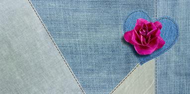 red rose on denim