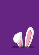 bunny ears on a purple background