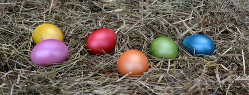 colorful easter eggs on straw close up