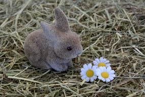 toy Bunny and flowers on hay, Easter Decoration