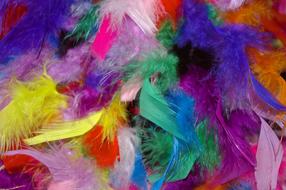 Close-up of the pile, of the colorful and beautiful feathers, on the carnival