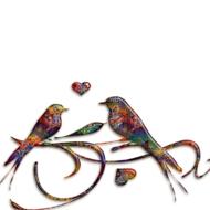 birds abstract exotic drawing