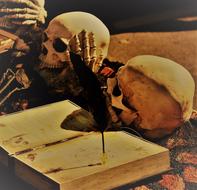skulls halloween magic horror book