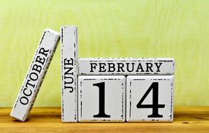 14 February calendar month day