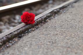 Red Rose railway