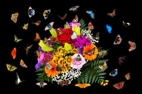 Emotions Flowers Butterflies papper