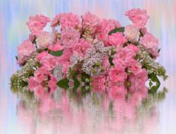 bunch of pink roses at colorful background