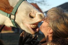 Cute horse, smiling, and woman, with the glasses, together