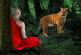 Portrait monk and tiger forest