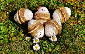 happy easter Eggs and flowers on grass