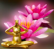 golden figurine of a frog on a pink lotus background