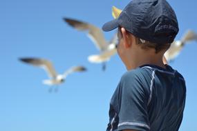 Kids Playing Beach birds