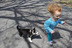 Cute child with the beautiful and cute, black and white dog, running on the road