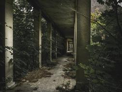 Horror Abandoned hospital ruins