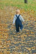 kid walking on autumn leaves in the park