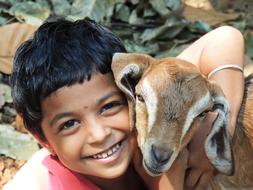 little boy with brown lamb