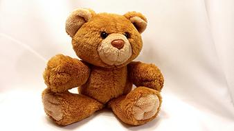 Bear Teddy Toy as a romantic symbol