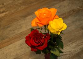 red, orange and yellow roses in a vase