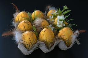 Easter Eggs Nest flowers
