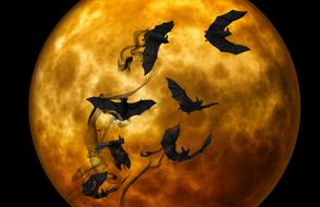 clipart of bat night creepy darkness