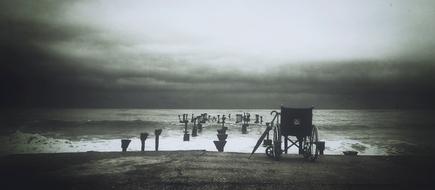 Nature Beach Shore black and white
