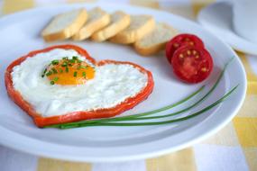 Egg Tomato Bread breakfast