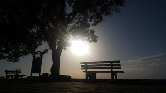 benches beneath Tree at Sunset, turkey