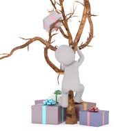 birthday gift tree