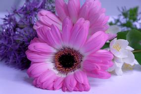 pink Gerbera Flowers bouquet