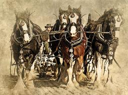 horse animal plowing vintage art