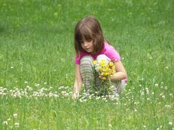 Girl Child Picking Flowers