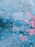 Pink Flower in glass underwater