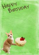 Colorful Birthday card with "Happy Birthday" sign and cat with cake, clipart