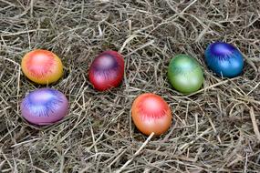colorful Easter Eggs at nest
