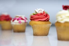 Food Sweet Cupcakes