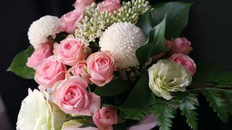 Flowers Bouquet Pink Valentine
