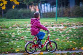 Kid Boy on Bicycle