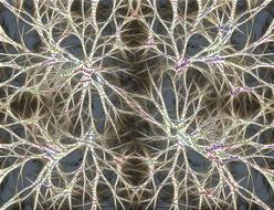 recordings memory unconscious as background