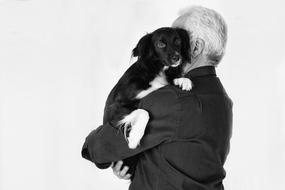 man and Pet Animals Dog