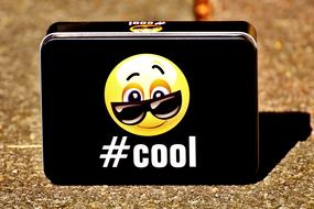 Smiley Cool Box