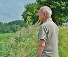 elderly man on a green meadow