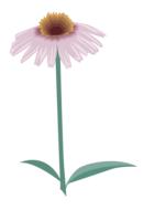 flower decoration design