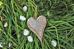 Wooden Heart Feeling Spring
